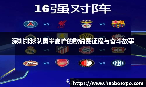 深圳排球队勇攀高峰的欧锦赛征程与奋斗故事